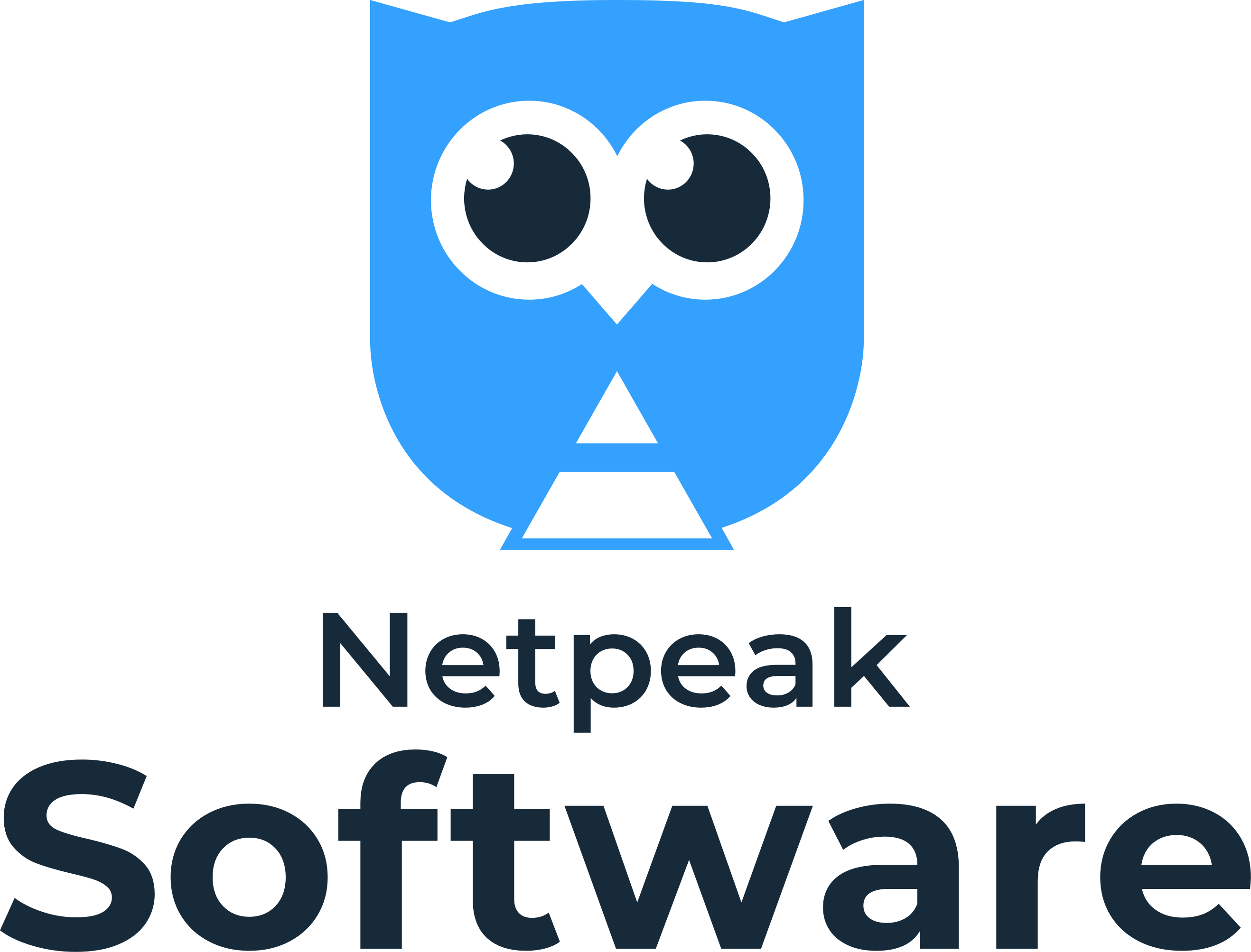 NetpeakSoftware