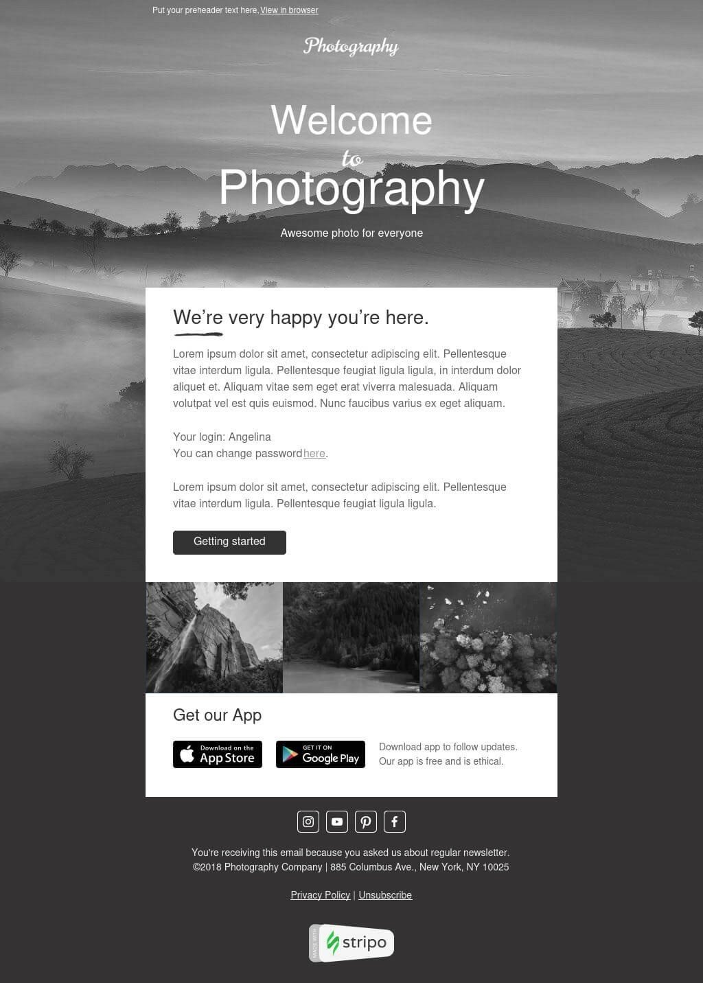 Black-and-White-Email-Built-with-Stripo