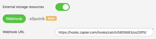 Pasting-Zapier-Webhook-URL