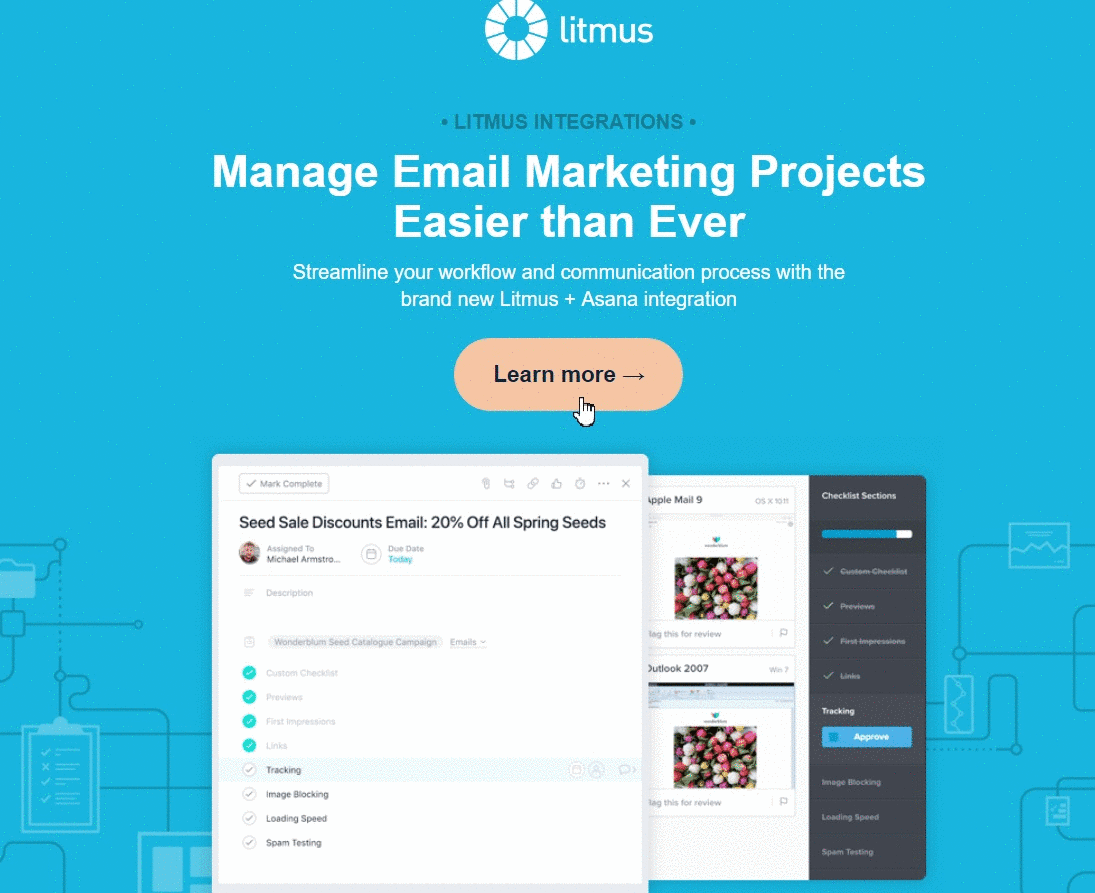 Stripo-Email-Design-Trends-CSS-Animation-Litmus