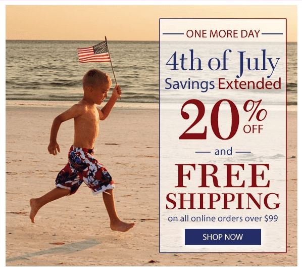 4th of July Emails Kids Carrying Flags