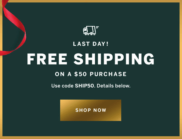 Example of Black Friday Campaigns with Free Shipping 