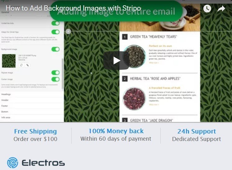 Embedded Video_Interactive Elements_Stripo
