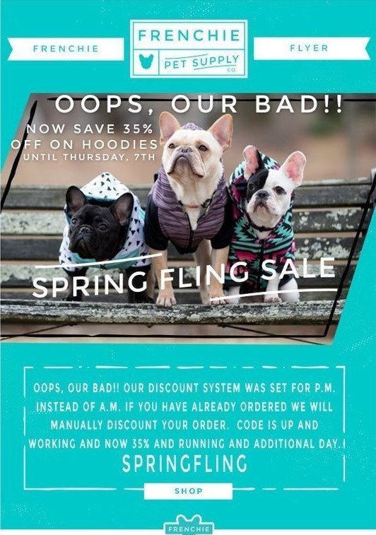 Stripo-Ecommerce-Email-Marketing-Apology-Email