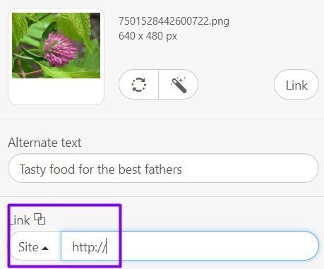 Stripo-Export-to-Gmail-Adding-Link