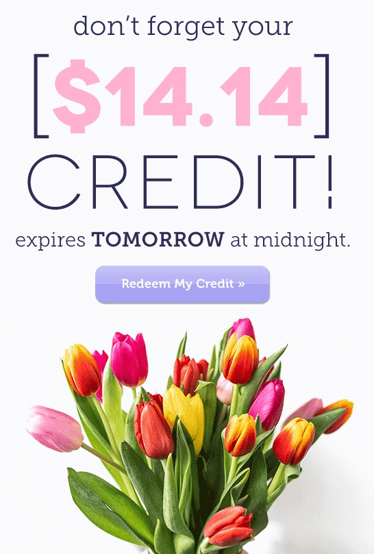 Stripo_Birthday-Email_Gifts-for-Family_FromYouFlowers.