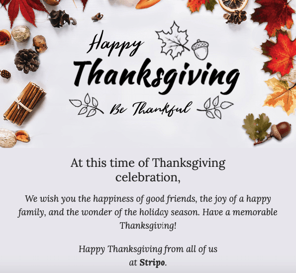 Email Design Ideas for Thanksgiving Day Newsletters Stripo email