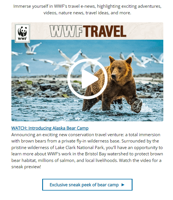 WWF-Объяснение-Почта-Благотворительность 