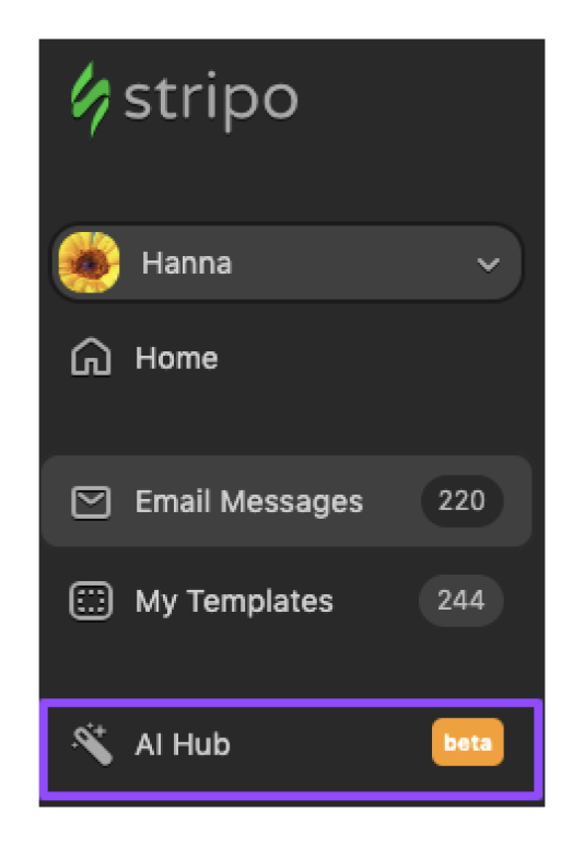 AI Assistant in user account _ Stripo