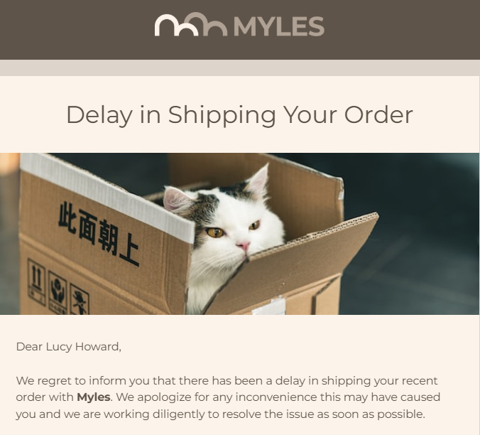 An example of the email with the shipping information