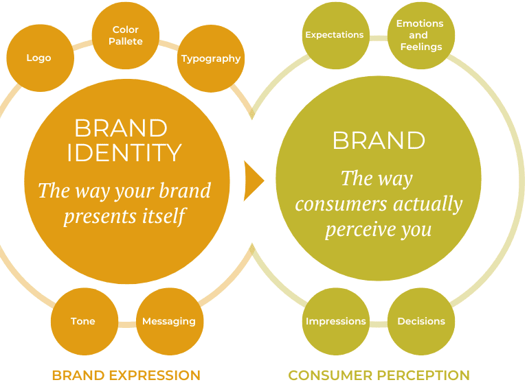 The Importance Of A Brand Identity System