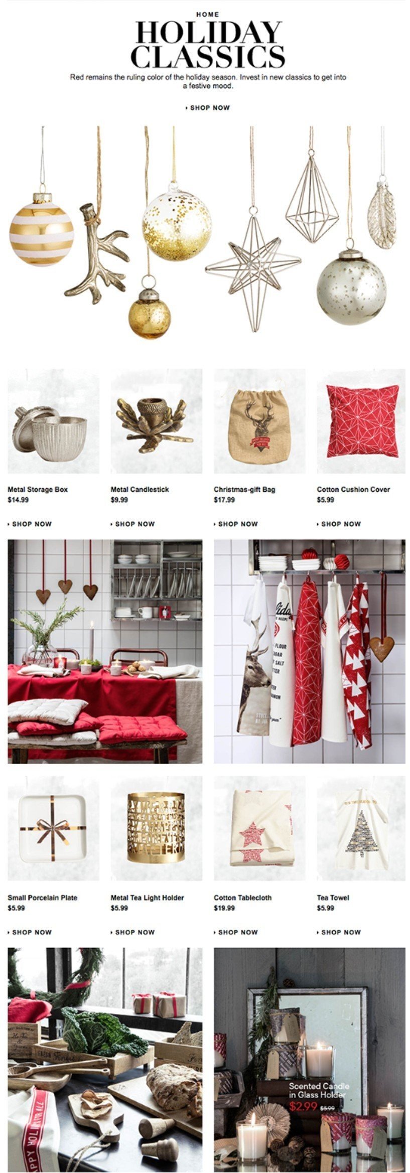 Stylish Christmas Newsletter Idea for a Holiday at Home