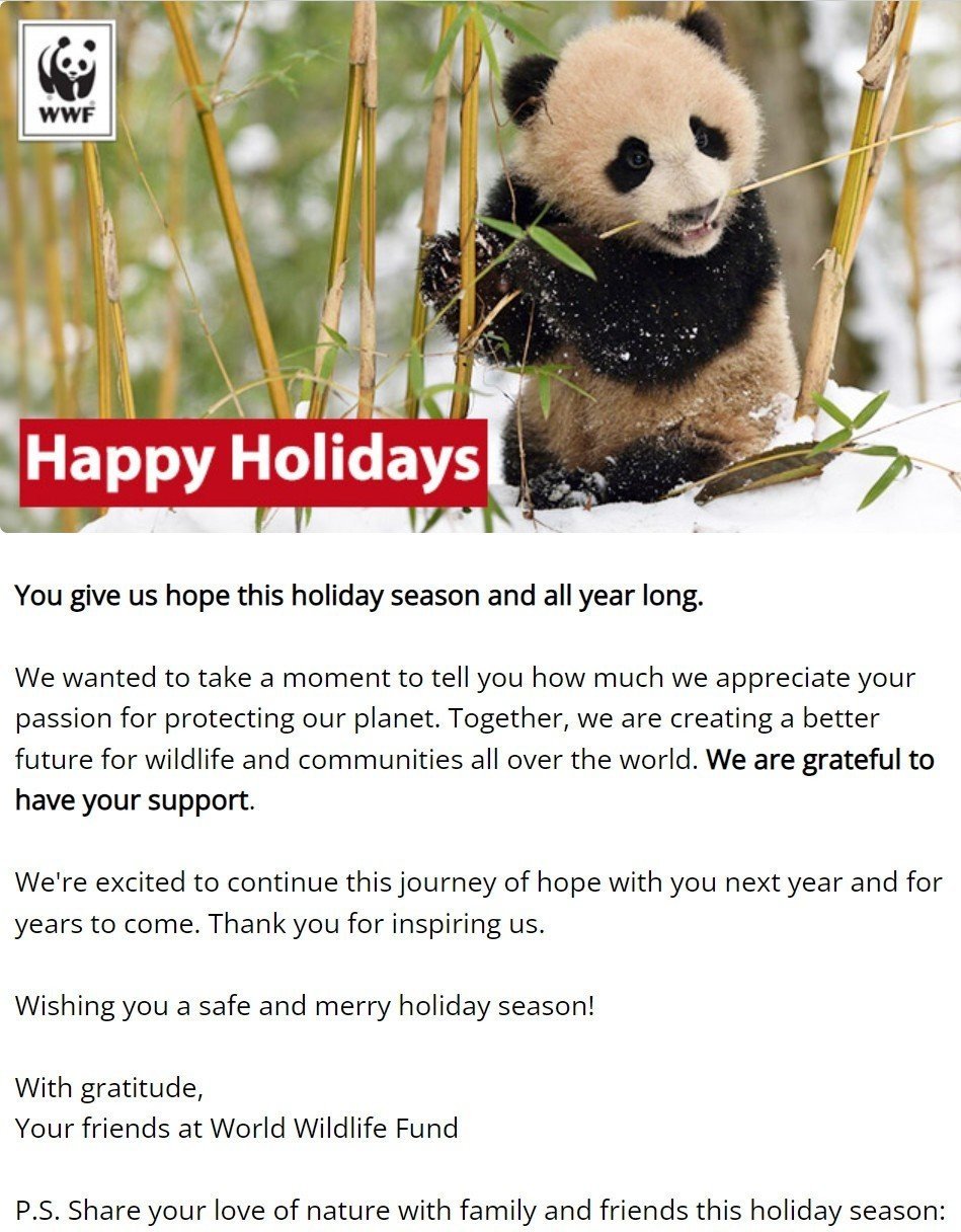 Рождественская email-кампания для любителей животных