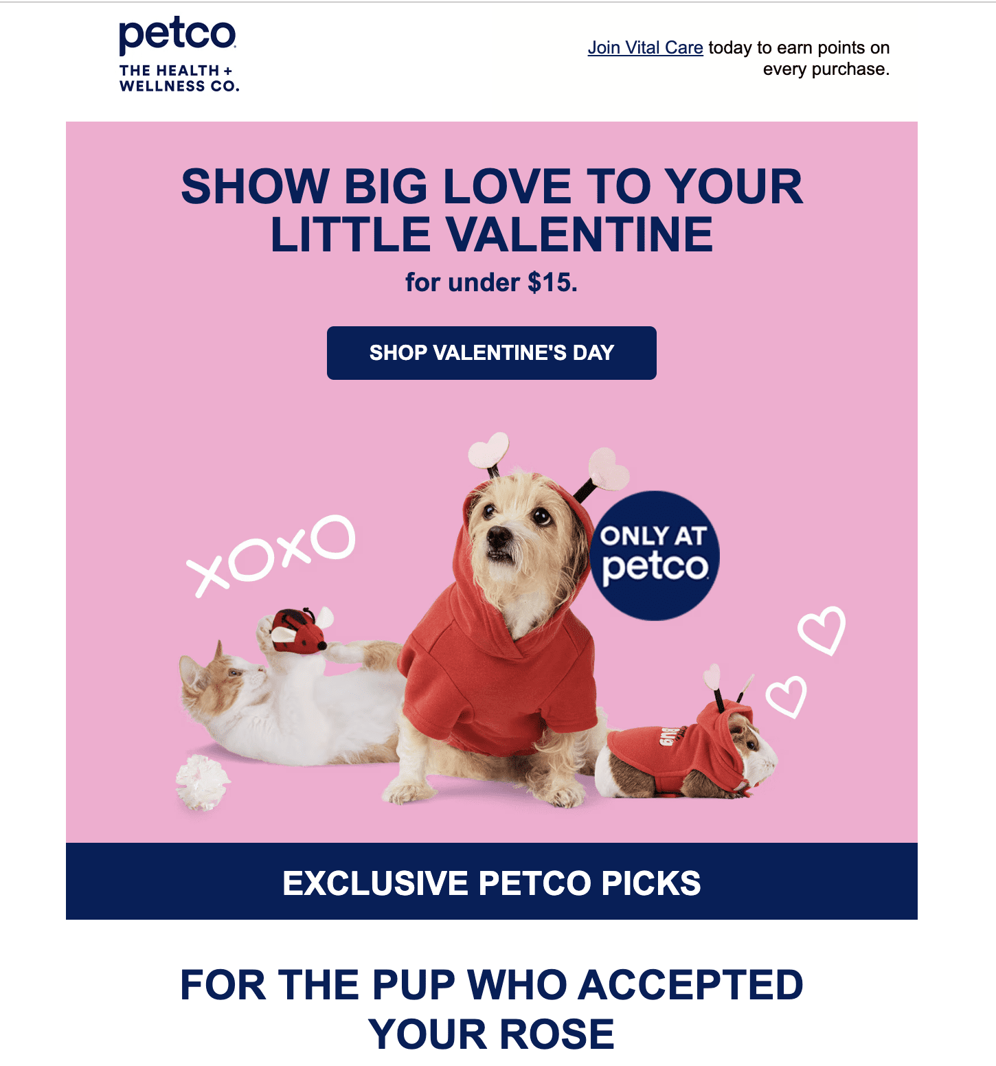 Email campaign before Saint Valentine’s Day with catchy subject line