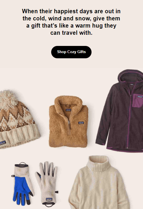 Email from Patagonia