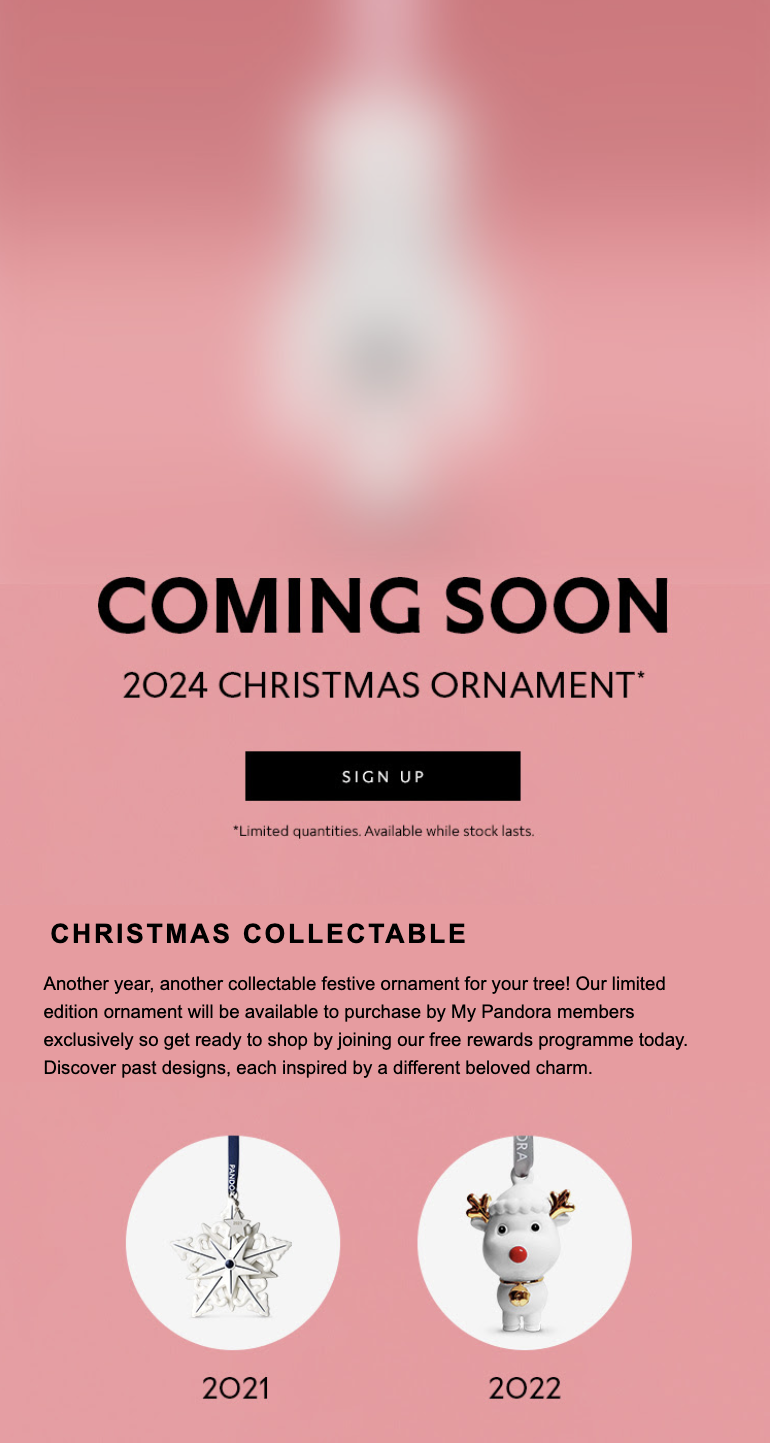 Example of Christmas email campaign