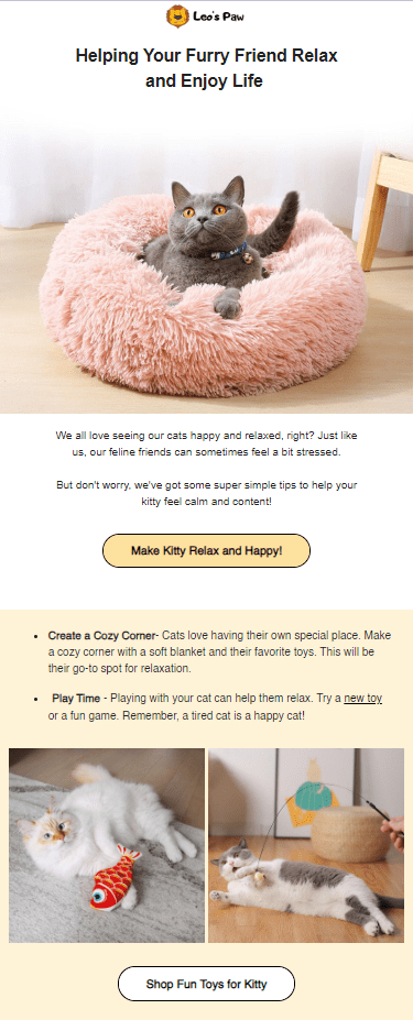 Make your cat happy _ Email example