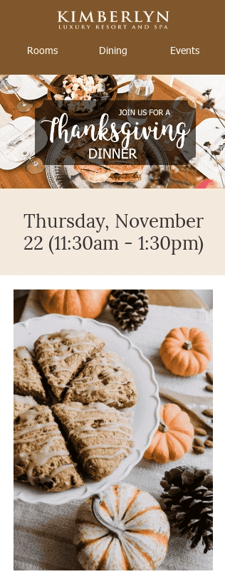 Mobile-Optimized Thanksgiving Email Template