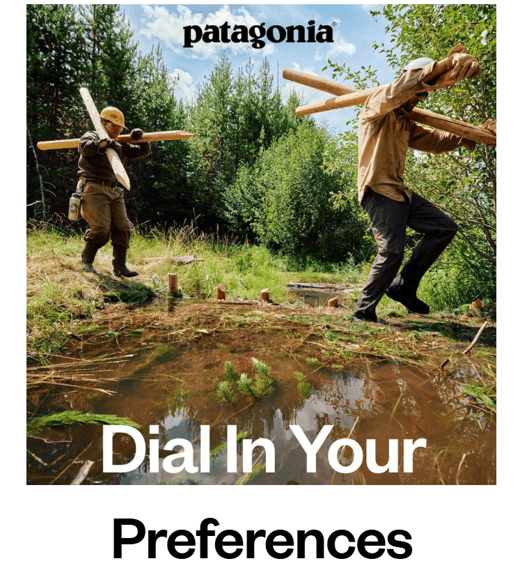 Patagonia email subject line