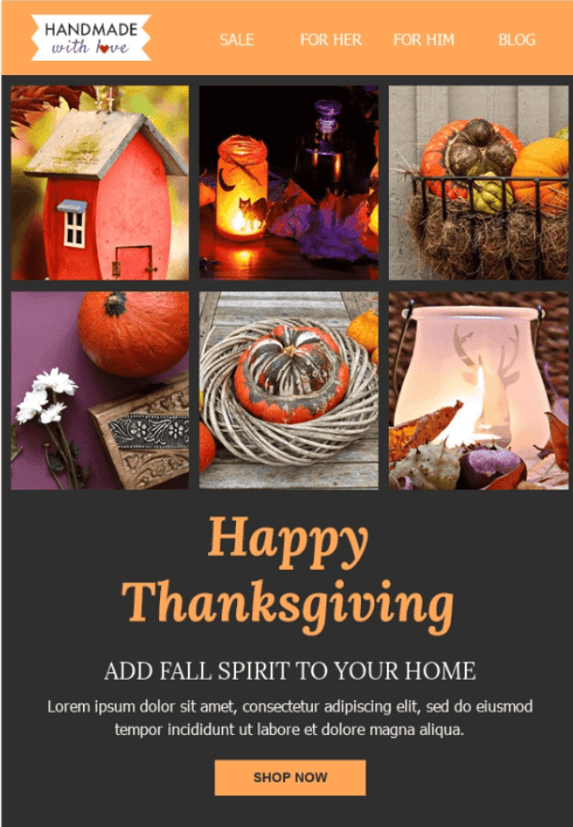 Thanksgiving Day Email Template _ Stripo