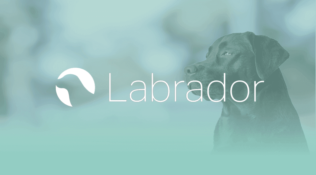 Customer Success Stories_Labrador_Cover Image