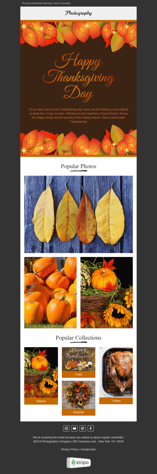 Thanksgiving Day E-Mail-Vorlage "Goldener Herbst" für Fotografie-Branche Desktop-Ansicht