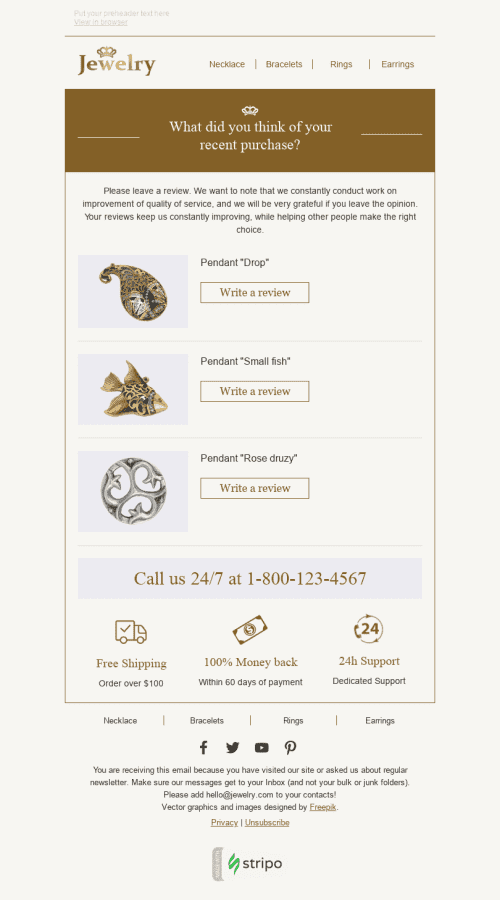 Recent Purchase Email Template "Your Opinion" for Jewelry industry desktop view
