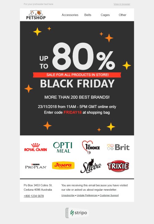 Black Friday Email Template "Love and Care" for Pets industry desktop view