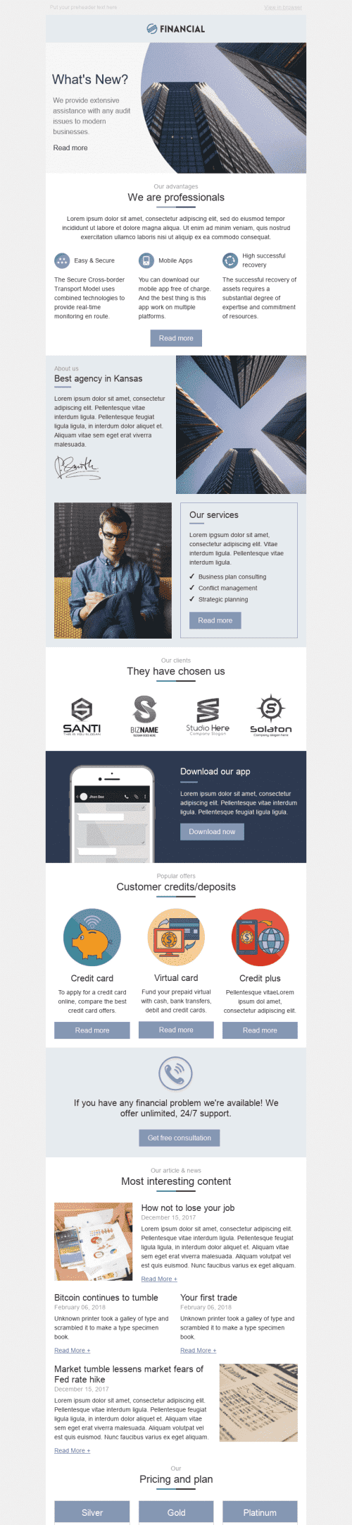 Modèle de courrier électronique Promo "Nous sommes des professionnels" pour le secteur Finance Affichage mobile