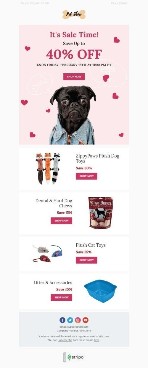 Valentine’s Day Email Template «Perfect Gift» for Pets industry desktop view