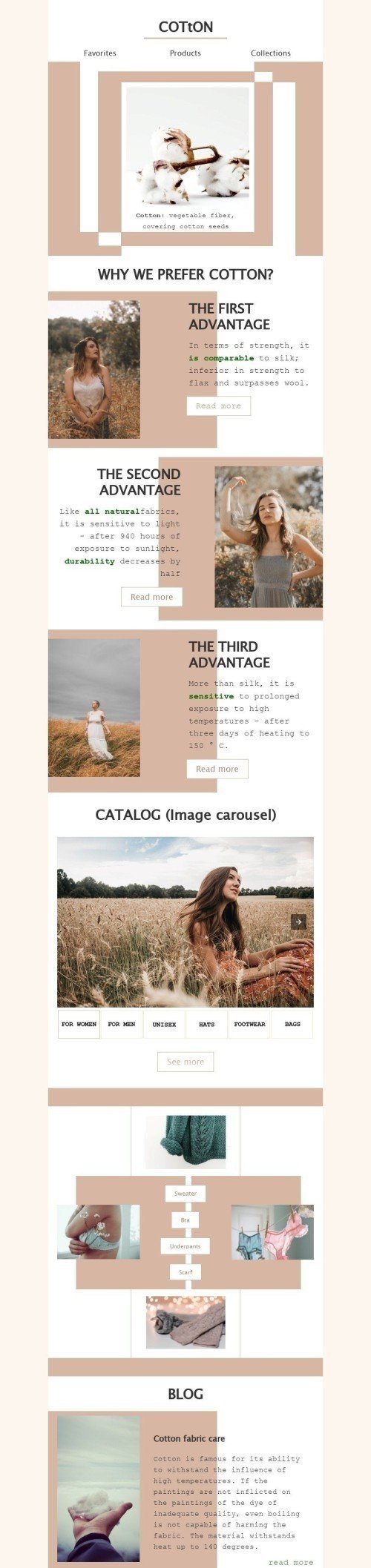 Promo Email Template «Сotton: feel the freedom» for Fashion industry desktop view