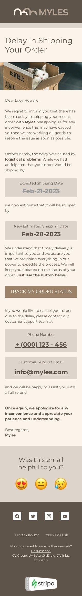 Shipping delay email template "Delay in shipping your order​" for fashion industry mobile view