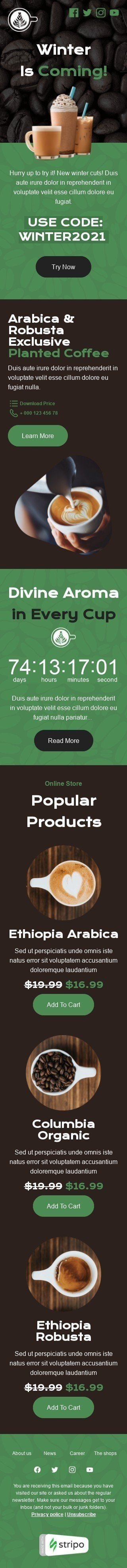 Winter Email Template "Arabica & Robusta" for Beverages industry mobile view