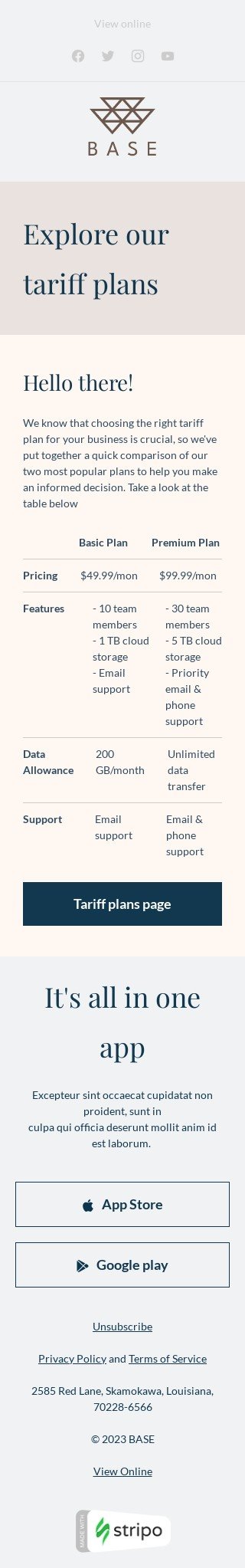 Шаблон листа «Ознайомтеся з нашими тарифними планами» тематики футер листа для індустрії «Бізнес» мобільний вигляд