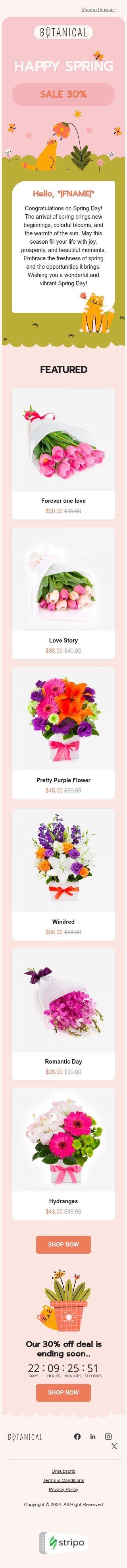 Plantilla de correo electrónico «Flores de primavera» de primavera para la industria de regalos y flores Vista de móvil