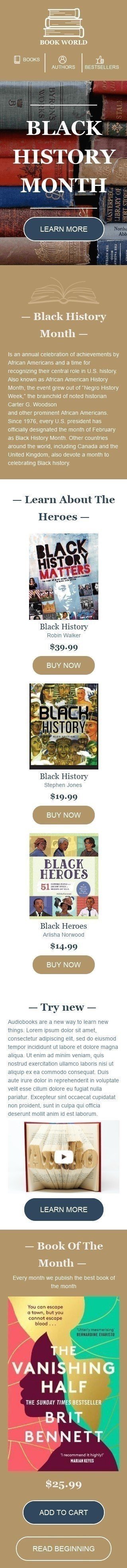 Modèle de courrier électronique Le mois de l'histoire noire «Héros noirs» pour le secteur Livres & Cadeaux & Papeteries Affichage mobile