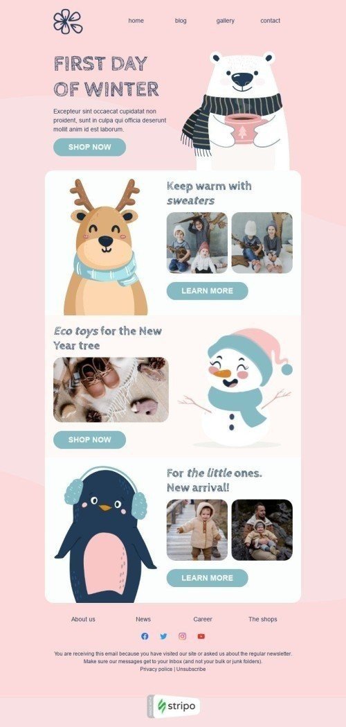 Winter Email Template "Eco toys" for Fashion industry desktop view