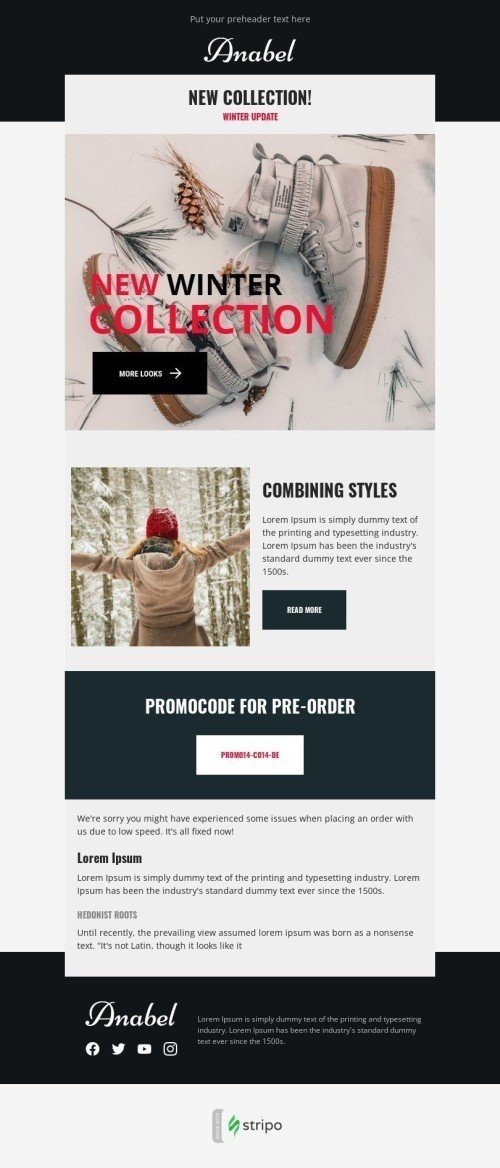 Product Update Email Template "Winter Surprise" for Fashion industry desktop view