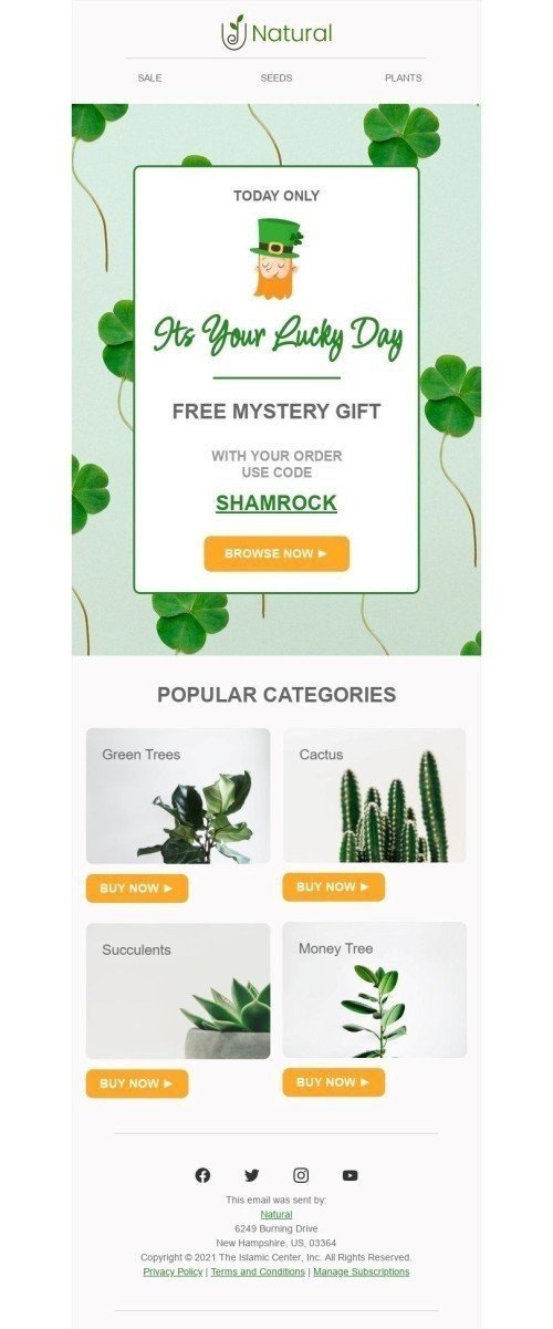 St. Patrick‘s Day E-Mail-Vorlage «Kostenloses Mystery-Geschenk» für Möbel, Innenausstattung & DIY-Branche Desktop-Ansicht