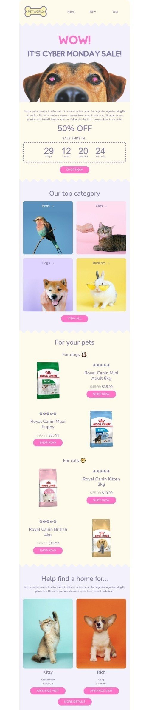 Cyber Monday email template "Cyber Monday sale" for pets industry desktop view