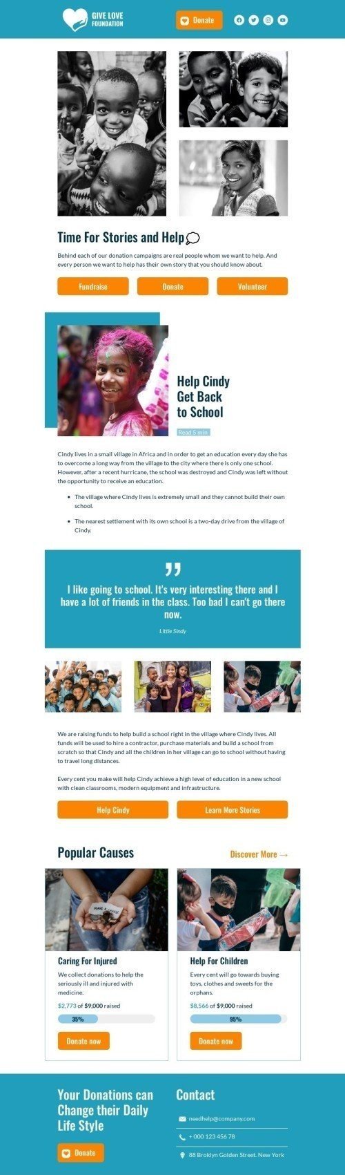 Newsletters email template "Storytelling" for nonprofit industry desktop view