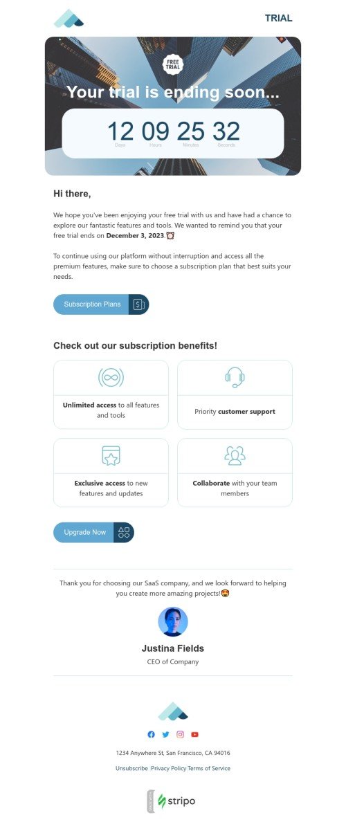 SaaS email template "Your trial is ending soon" for software & technology industry mobile view