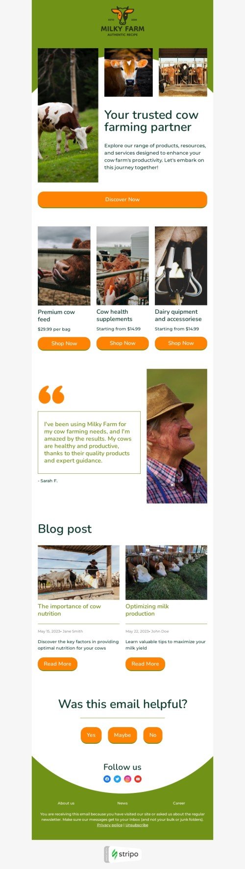 Promo email template "Your trusted cow farming partner" for agriculture industry mobile view