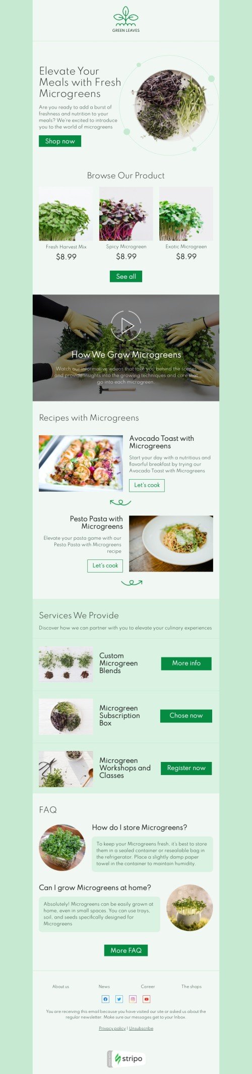 Promo email template "Elevate your meals" for agriculture industry desktop view