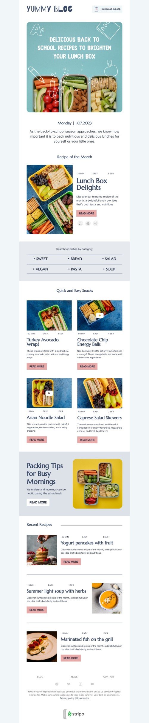 Back to school email template "Brighten your lunch box" for publications & blogging industry mobile view