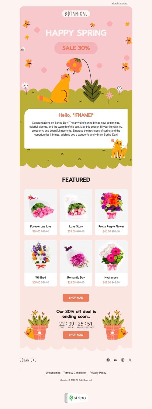 Modelo de e-mail de «Flores da primavera» de primavera para a indústria de presentes e flores Visualização de dispositivo móvel