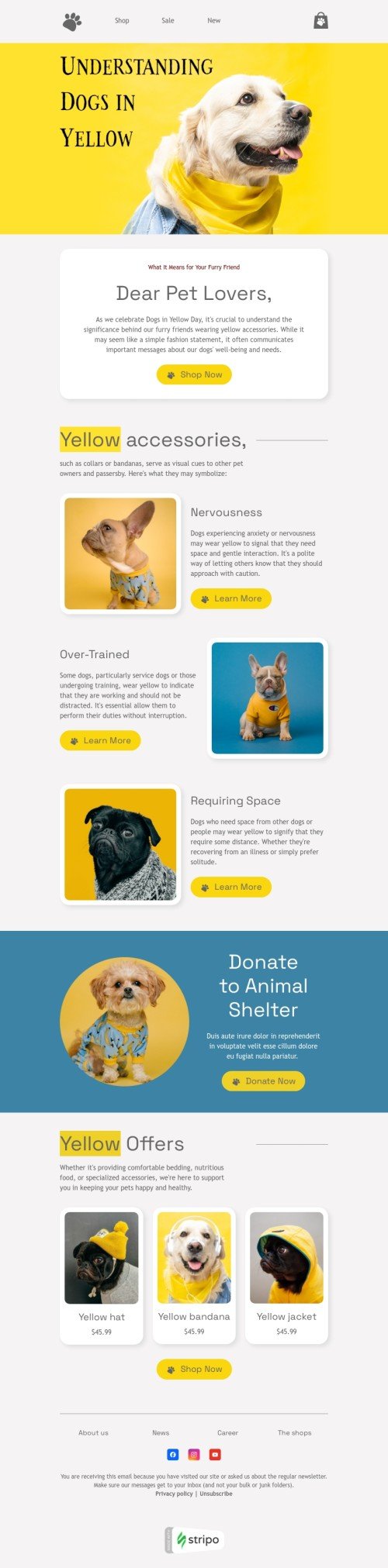 Dogs in Yellow Day email template "Understanding dogs in yellow" for pets industry mobile view