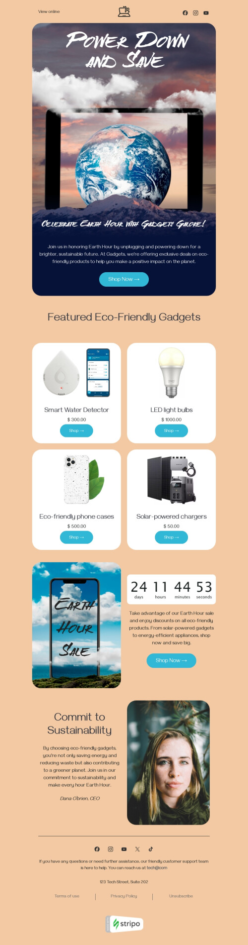 Earth Hour email template "Eco-friendly gadgets" for gadgets industry desktop view