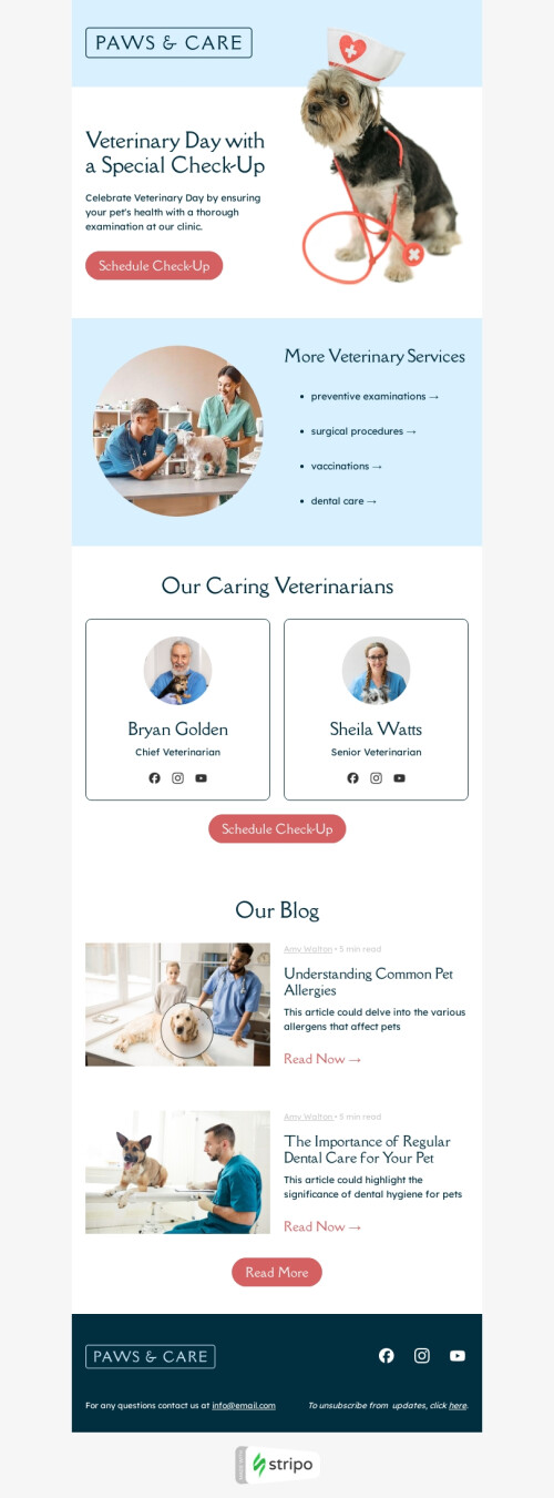 Veterinary Day email template "Special сheck-up" for pets industry desktop view