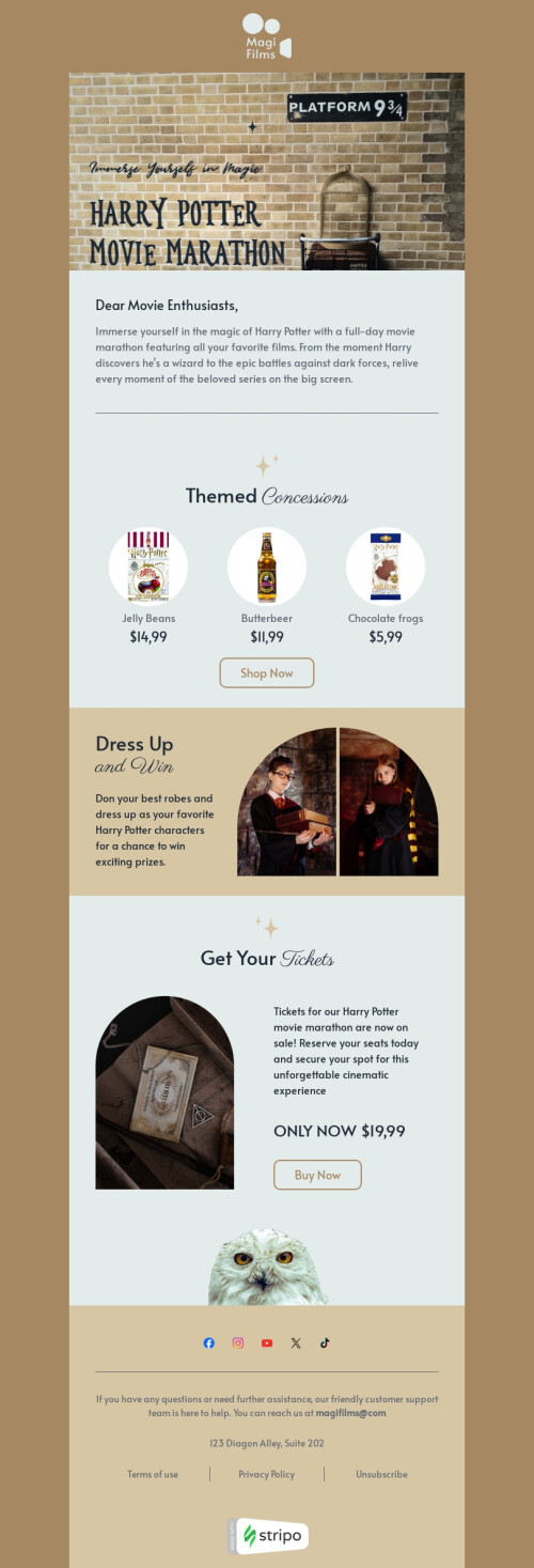 Modello email Giorno di Harry Potter «Maratona cinematografica» per il settore industriale di film Visualizzazione desktop